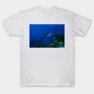 Barracuda on the Great Barrier Reef T-Shirt